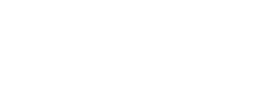 SAVE BRAVE